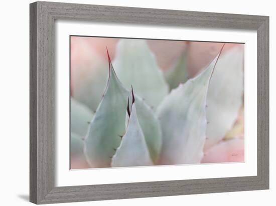 Dream Desert VI-Sue Schlabach-Framed Art Print