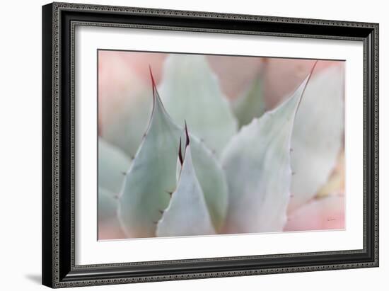 Dream Desert VI-Sue Schlabach-Framed Art Print