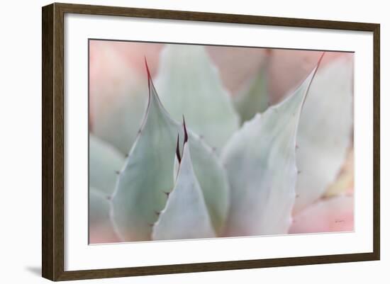 Dream Desert VI-Sue Schlabach-Framed Art Print