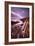 Dream Falls, Ocean Waterfall, California Coast, Sonoma-Vincent James-Framed Photographic Print