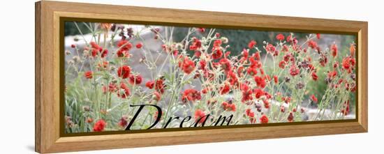 Dream Flowers I-Nicole Katano-Framed Stretched Canvas