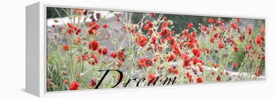 Dream Flowers I-Nicole Katano-Framed Stretched Canvas