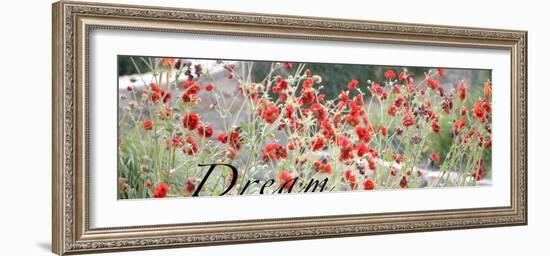 Dream Flowers I-Nicole Katano-Framed Photo