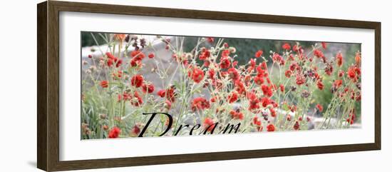 Dream Flowers I-Nicole Katano-Framed Photo