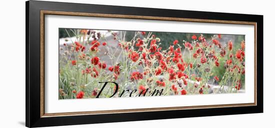 Dream Flowers I-Nicole Katano-Framed Photo