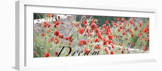 Dream Flowers I-Nicole Katano-Framed Photo