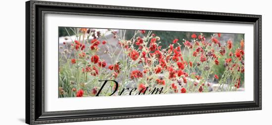 Dream Flowers I-Nicole Katano-Framed Photo