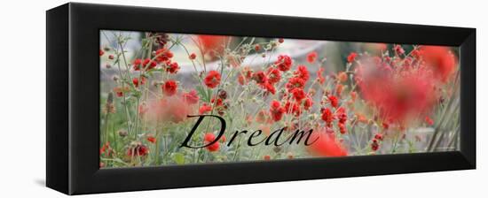 Dream Flowers II-Nicole Katano-Framed Stretched Canvas