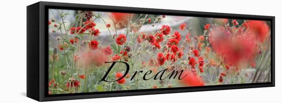 Dream Flowers II-Nicole Katano-Framed Stretched Canvas