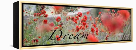 Dream Flowers II-Nicole Katano-Framed Stretched Canvas