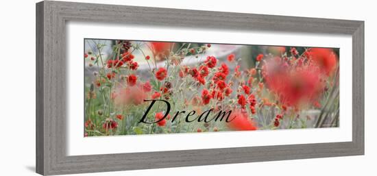 Dream Flowers II-Nicole Katano-Framed Photo