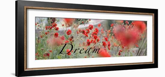 Dream Flowers II-Nicole Katano-Framed Photo