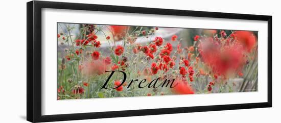 Dream Flowers II-Nicole Katano-Framed Photo