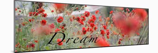 Dream Flowers II-Nicole Katano-Mounted Photo