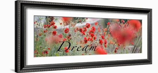 Dream Flowers II-Nicole Katano-Framed Photo