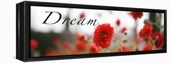 Dream Flowers III-Nicole Katano-Framed Stretched Canvas