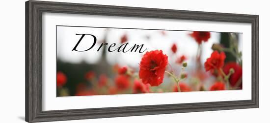 Dream Flowers III-Nicole Katano-Framed Photo