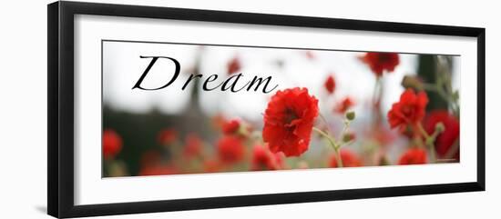 Dream Flowers III-Nicole Katano-Framed Photo