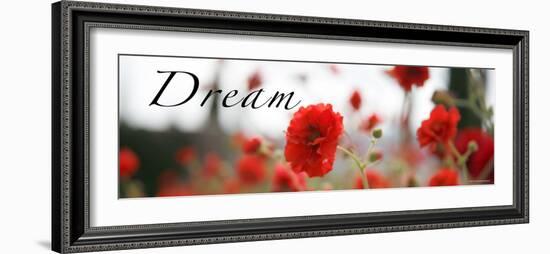 Dream Flowers III-Nicole Katano-Framed Photo