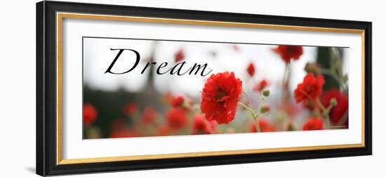 Dream Flowers III-Nicole Katano-Framed Photo