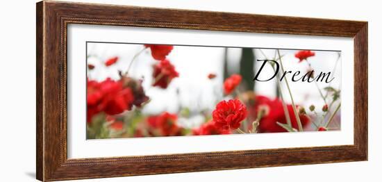 Dream Flowers IV-Nicole Katano-Framed Photo