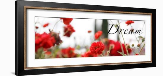 Dream Flowers IV-Nicole Katano-Framed Photo