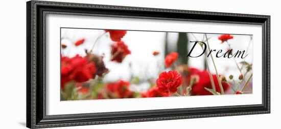 Dream Flowers IV-Nicole Katano-Framed Photo