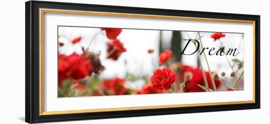 Dream Flowers IV-Nicole Katano-Framed Photo