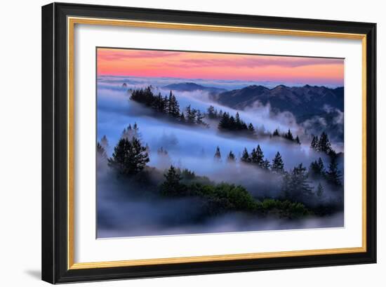 Dream Fog at Sunset, Mount Tamalpais, Marin, Bay Area San Francisco-Vincent James-Framed Photographic Print