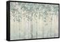 Dream Forest I Silver Leaves-James Wiens-Framed Stretched Canvas