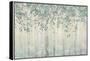 Dream Forest I Silver Leaves-James Wiens-Framed Stretched Canvas