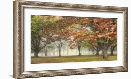 Dream History-Diane Poinski-Framed Giclee Print