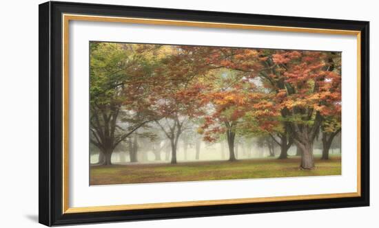 Dream History-Diane Poinski-Framed Giclee Print