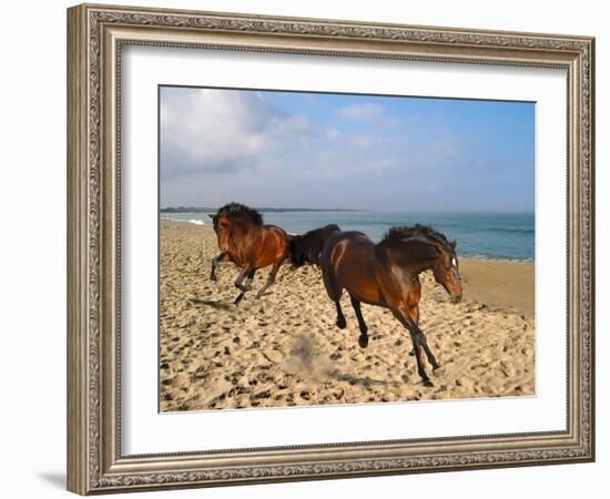 Dream Horses 002-Bob Langrish-Framed Premium Photographic Print