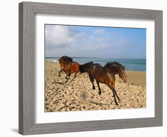 Dream Horses 002-Bob Langrish-Framed Premium Photographic Print