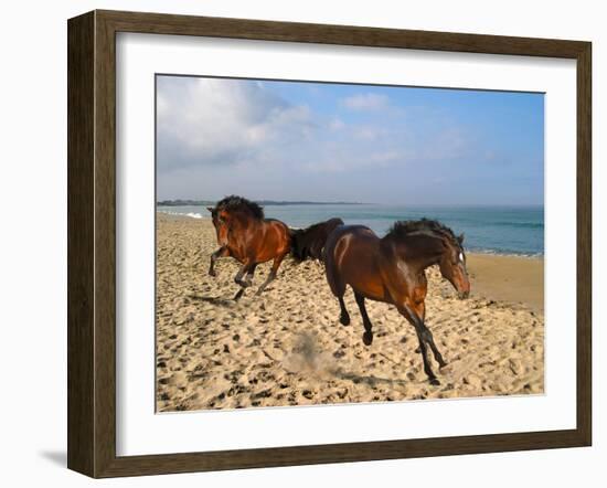 Dream Horses 002-Bob Langrish-Framed Premium Photographic Print