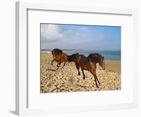 Dream Horses 002-Bob Langrish-Framed Premium Photographic Print