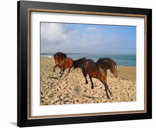 Dream Horses 002-Bob Langrish-Framed Premium Photographic Print