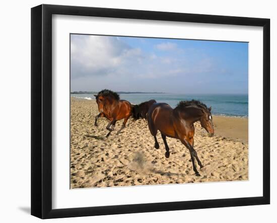 Dream Horses 002-Bob Langrish-Framed Premium Photographic Print