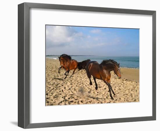 Dream Horses 002-Bob Langrish-Framed Premium Photographic Print