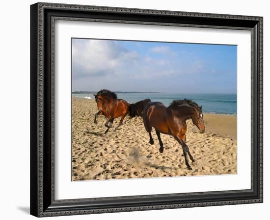 Dream Horses 002-Bob Langrish-Framed Premium Photographic Print