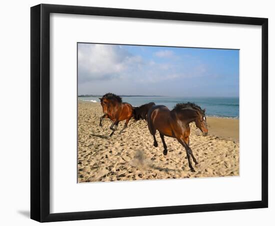 Dream Horses 002-Bob Langrish-Framed Photographic Print