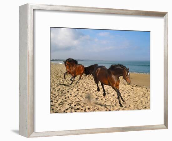 Dream Horses 002-Bob Langrish-Framed Photographic Print