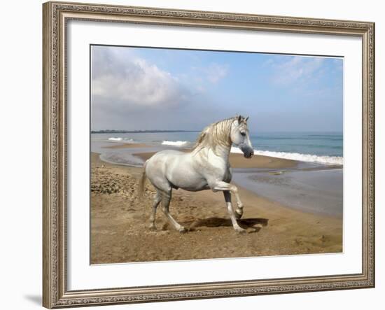 Dream Horses 012-Bob Langrish-Framed Photographic Print