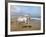 Dream Horses 012-Bob Langrish-Framed Photographic Print