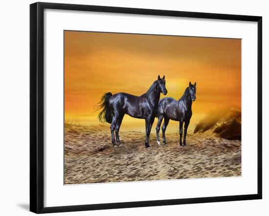 Dream Horses 016-Bob Langrish-Framed Photographic Print