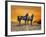 Dream Horses 016-Bob Langrish-Framed Photographic Print