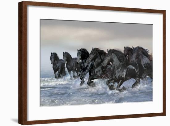 Dream Horses 019-Bob Langrish-Framed Photographic Print