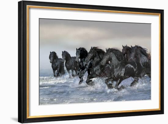Dream Horses 019-Bob Langrish-Framed Photographic Print