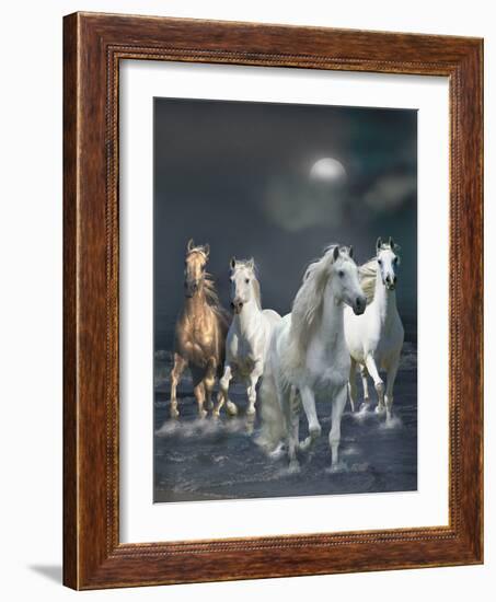 Dream Horses 020-Bob Langrish-Framed Photographic Print